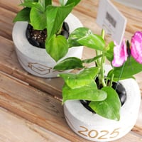 حوض التخرج ( بالاسم )