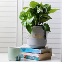 حوض كونكريت حجم وسط ( وأن سعيه سوف يُرى )