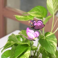 حوض كونكريت حجم وسط ( برسمة لـ يد المولود و الام و...