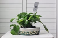 حوض كونكريت بتصميم زيتي ( مخصصه بالأسم )