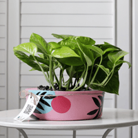 حوض كونكريت ( رسمة مخصصة )