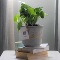 حوض كونكريت حجم وسط ( وأن سعيه سوف يُرى )