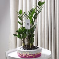 حوض كونكريت بتصميم فوشي ( مخصصه بالأسم )