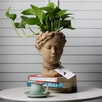 حوض وجه فخاري - لون بيج ( مع نبات البوتس )