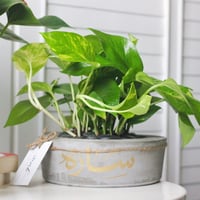 حوض كونكريت ( مخصصه بالأسم )