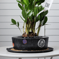 حوض كونكريت ( رسمة مخصصة )