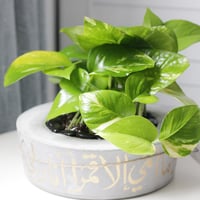 حوض كونكريت (وما أمي إلا قمراً أنار لي كل عتمة)