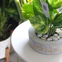 حوض كونكريت (تُبعثرني الحياة وتجمعني دعوة أمي)