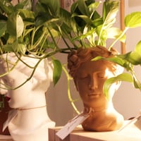 حوض وجه فخاري - لون بيج ( مع نبات البوتس )