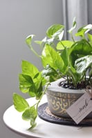 حوض كونكريت (ربِ أنزلني مُنزلاً مباركاً وأنت خير ا...