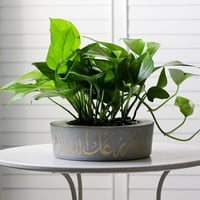 حوض كونكريت بعبارة أينما زرعك الله أزهر