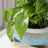 حوض كونكريت بتصميم سماوي ( مخصصه بالأسم )