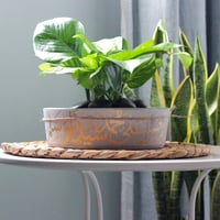 حوض كونكريت (اللهم صلِ على سيدنا محمد )