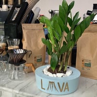 حوض كونكريت رسم اللوقو او الشعار