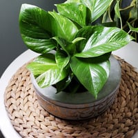 حوض كونكريت (اللهم صلِ على سيدنا محمد )