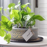 حوض كونكريت (ربِ أنزلني مُنزلاً مباركاً وأنت خير ا...