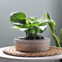 حوض كونكريت (اللهم صلِ على سيدنا محمد )