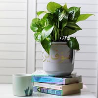 حوض كونكريت حجم وسط ( بالاسم او العبارة )