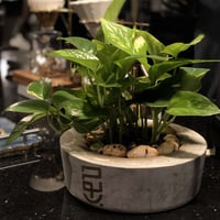 حوض كونكريت رسم اللوقو او الشعار