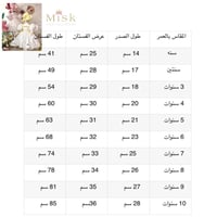 فستان الباسكن روبنز+فيونكة الشعر وجيبون منفوش إضاف...