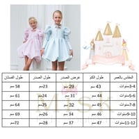 فستان الأميرات ( سماوي-وردي)