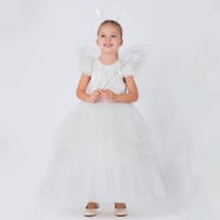 فستان الفراشة الصغيرة