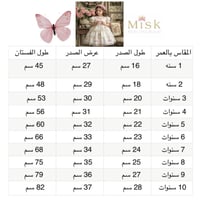 فستان ريمي بطبقات مطرزة بالورد+طوق+جيبونة