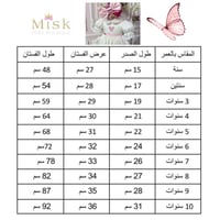 فستان الأميرات من عالم الاحلام+شنطة وفيونكة( المقا...