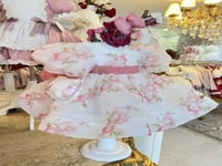 كاندي مشمشي+شنطة واكسسوار الشعر