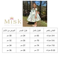 فستان تيفاني+طوق الشعر