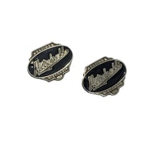 علامه قطعتين فضي