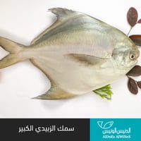1 كيلو سمك زبيدي كبير