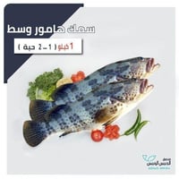 1 كيلو سمك هامور وسط