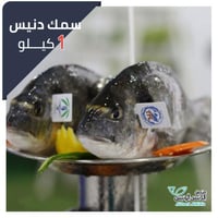 سمك دنيس كبير