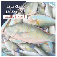 1 كيلو سمك الحريد