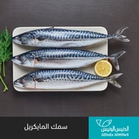 1 كيلو سمك الماكريل