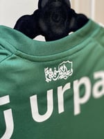 تيشيرت الأهلي الأخضر 24/25