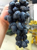 شتلات عنب رازقي أسود