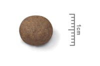 رويال كانين ميديوم بوبي15 كيلو