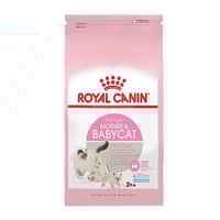 رويال كانين مذر&بيبي كات2كيلو