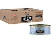 كارتون مستر كات سمك المحيط مع الرنكه بالجيلي