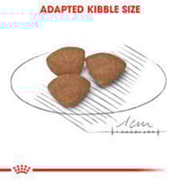 رويال كانين ميني بوبي أظرف طعام جاف للكلاب الصغيرة...