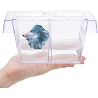 حاضنة اسماك صغيرة