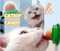 حلوى قطط -الوان مختلفة