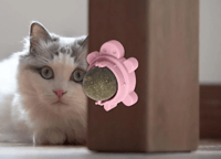 لعبة كاتنيب للقطط تتلصق على الحائط-الوان مختلفة