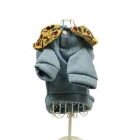 ثياب قطط شتوية مبطنة بفرو ناعم