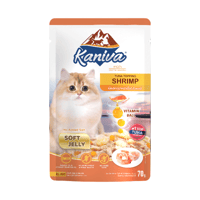 كارتون كانيفا تونه مع الروبيان طعام رطب للقطط الصغ...