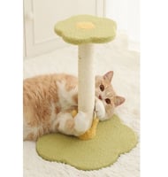 خداشة للقطط