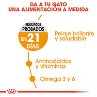 رويال كانين هير اند سكن اكل قطط جاف للعناية بالشعر...