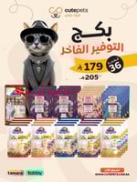 بكدج التوفير الفاخر